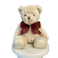 Teddy Bear - Medium sized Soft Teddy with bow.